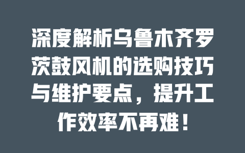 深度解析烏魯木齊羅茨鼓風機的選購技巧與維護要點,提升工作效率不再難! 一