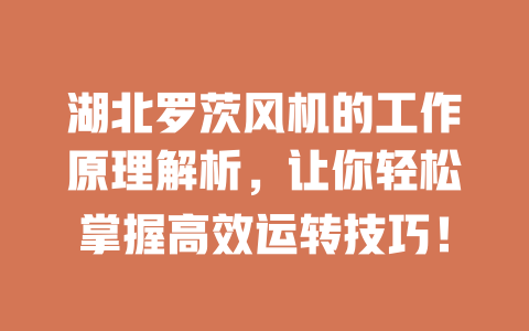 湖北羅茨風機的工作原理解析，讓你輕松掌握高效運轉技巧！ 一