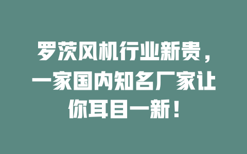 Roots fan industry newcomers, a well-known domestic manufacturers to let you refreshing! A