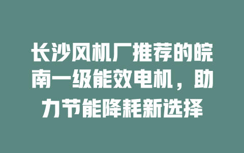長沙風機廠推薦的皖南一級能效電機，助力節能降耗新選擇 一