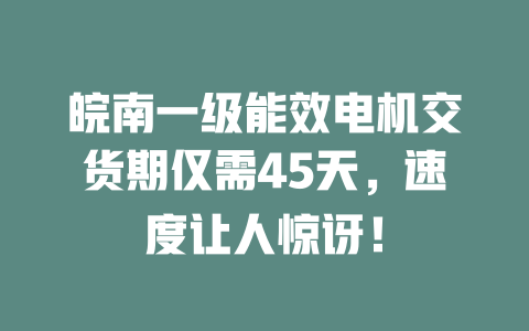 皖南一級能效電機交貨期僅需45天，速度讓人驚訝！ 一