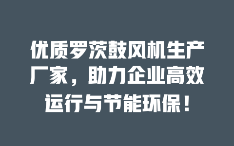優質羅茨鼓風機生產廠家,助力企業高效運行與節能環保! 一