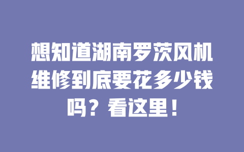 想知道湖南羅茨風(fēng)機(jī)維修到底要花多少錢(qián)嗎？看這里！ 一